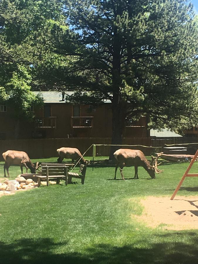 Villa Riverview Pines à Estes Park Extérieur photo